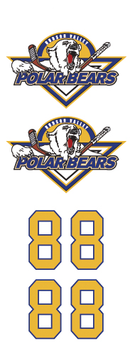 Hudson Valley Polarbears Hockey