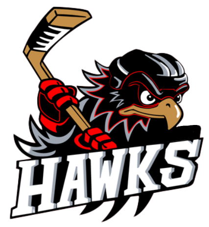 Team Logo Image