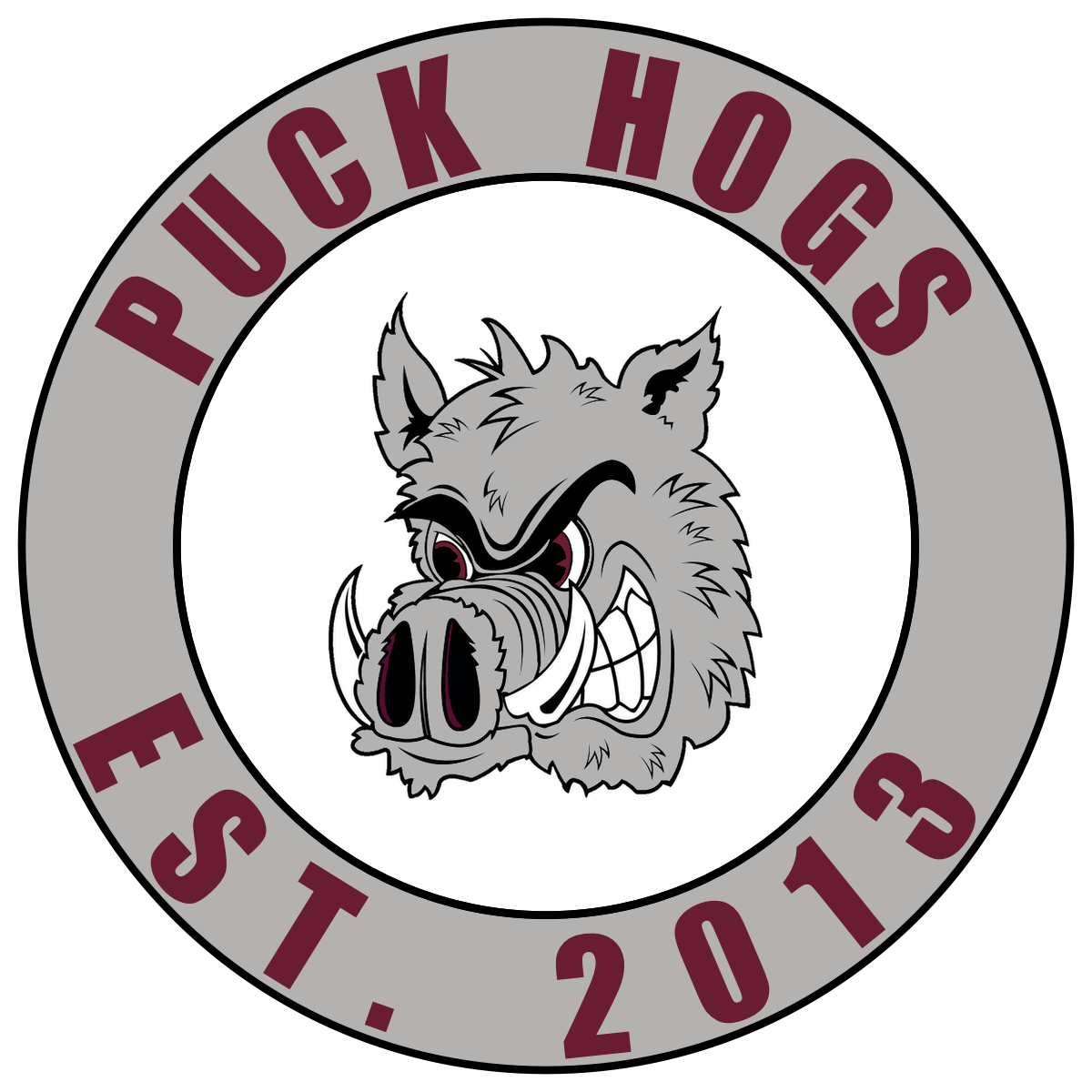 Team Logo Image